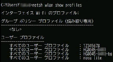 netsh wlan show profile