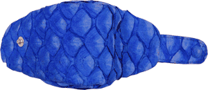 青鯛の財布テトラタイプ／ブルーカラー