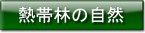 �M�їт̎��R