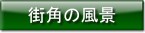 �X�p�̕��i