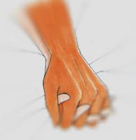 �قւǂ���