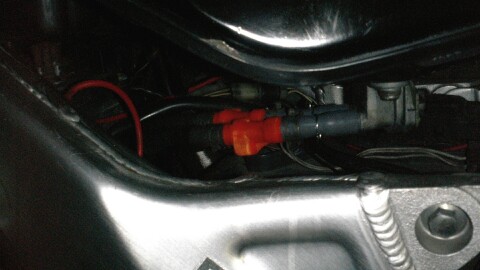 P1000314.jpg 480��270 28K