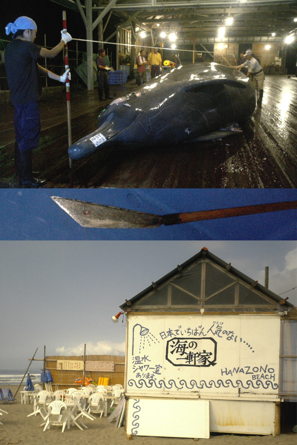 grp0826184431.jpg 600��900 340K