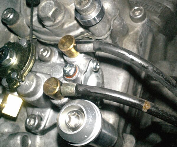 P10006682.jpg 600��500 58K