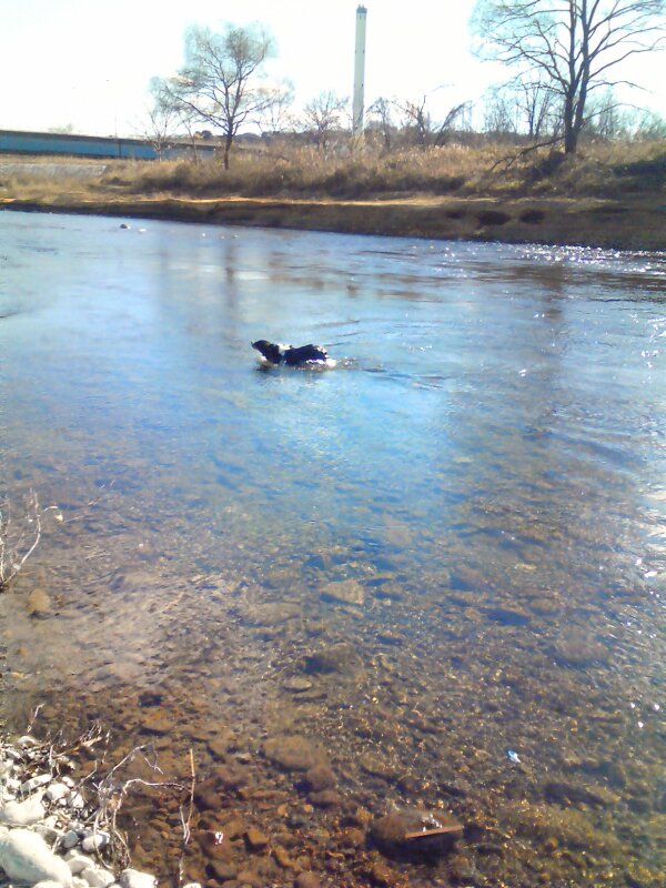 201001011205000s.jpg 600×800 114K