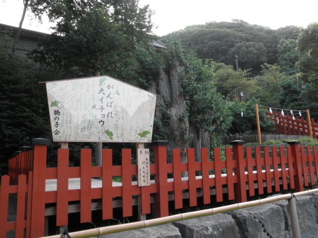 P8180034.jpg 640��480 83K