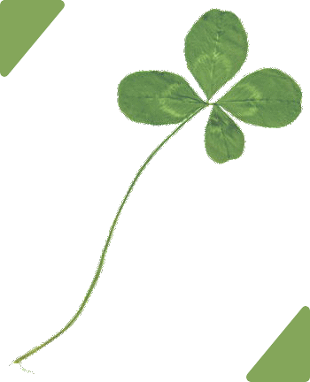 gif/clover005.gif
