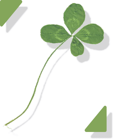 gif/clover006.gif