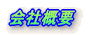 ��ЊT�v