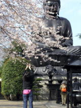 great image of tokyo Buddha