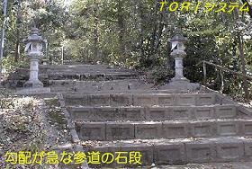 Q摜