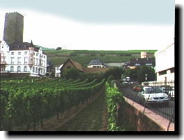 �u�h�E���̒��ɂ����h�Ȃ����~�������Ă��āA������܂��ʔ����B