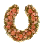 a horseshoe of roses