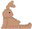 yummy-bunny