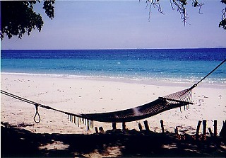 �}�C�g���r�[�`