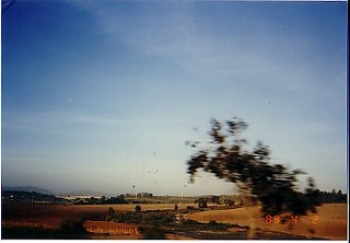 �����ɋC����