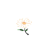 Ђ݂̂