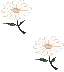 Ђ݂̂