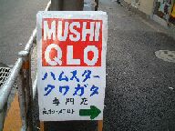 MUSHIQLÕJugVAPXWO~