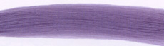 Ash violet
