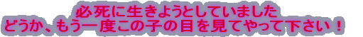 �ǂ����A������x���̎q�̖ڂ����Ă���ĉ������I