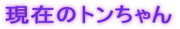 ���݂̃g�������