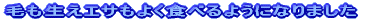 �т������A�G�T���悭�H�ׂ�悤�ɂȂ�܂����B
