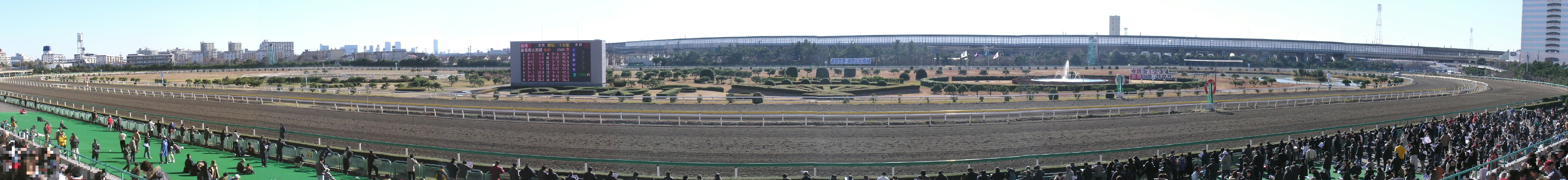 �D�����n��