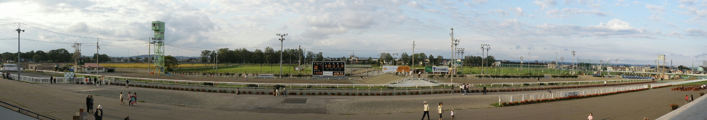 �эL���n��