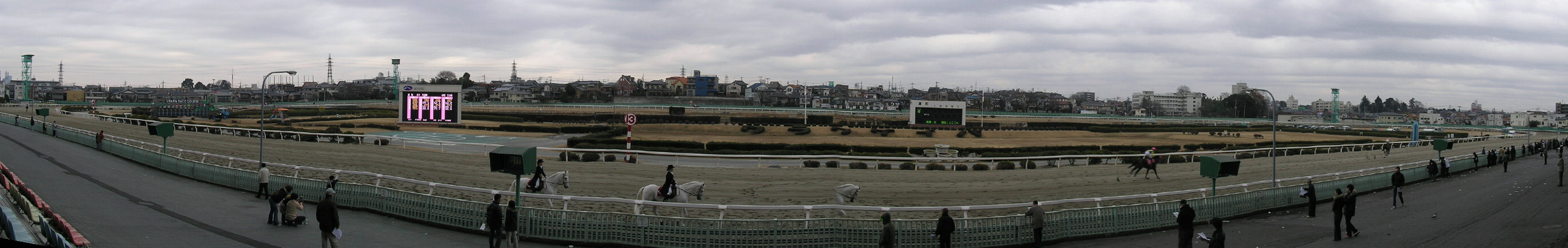 �Y�a���n��